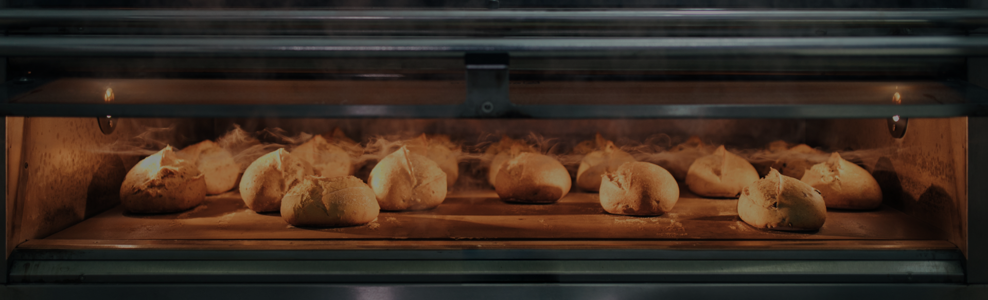 Ancore Ortopedi & Medikal Sağlık Ürünleri